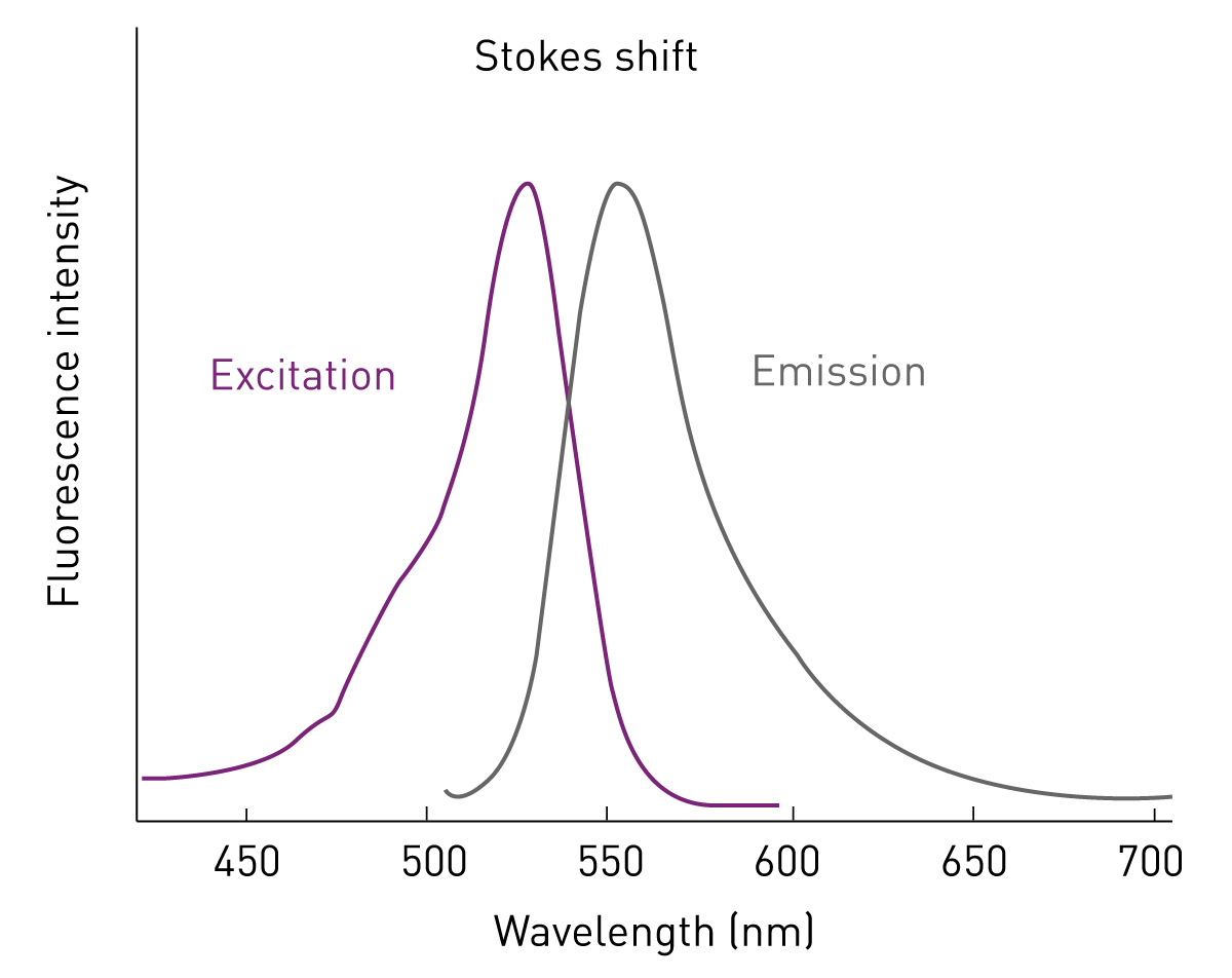 fluorescence-intensity-measurements-bmg-labtech